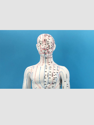 VR中醫(yī)針灸學